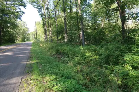 Lot 9 German Rd, Willet, NY 13863