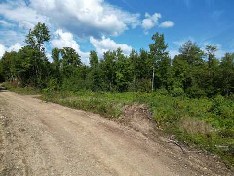 Lot 4 Bear Lane, Springfield, ME 04487