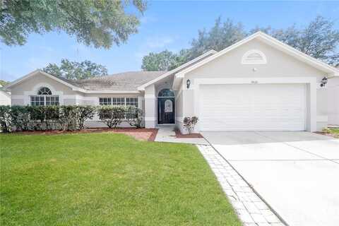 Painter, LAND O LAKES, FL 34639