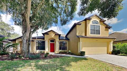 Abbey Ridge, DOVER, FL 33527