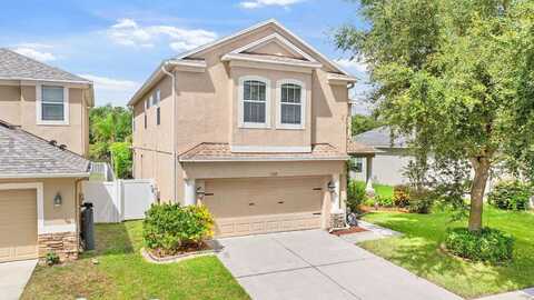 Forest Mere, RIVERVIEW, FL 33578