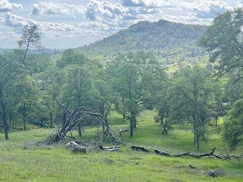 Wades Way, Browns Valley, CA 95918