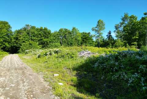 Lot 1 Dirty Glove Road, Springfield, ME 04487