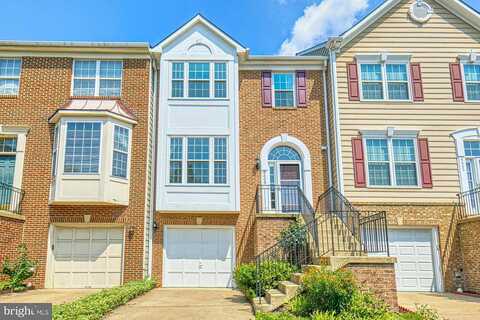 Beech Hollow, SPRINGFIELD, VA 22153