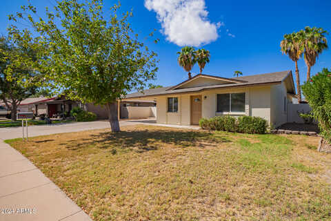 Cedar, GILBERT, AZ 85233