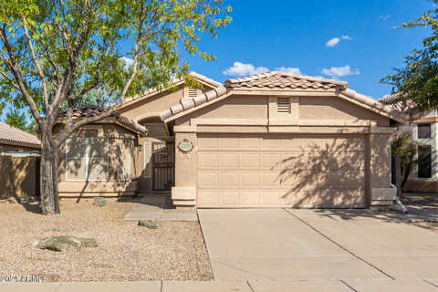 Monte Vista, CHANDLER, AZ 85225