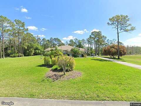 Gray Birch, ORLANDO, FL 32832