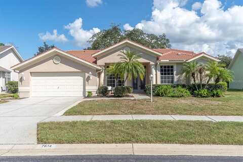 Hampton Hills, NEW PORT RICHEY, FL 34654