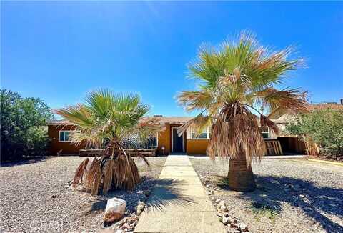 Cactus, TWENTYNINE PALMS, CA 92277