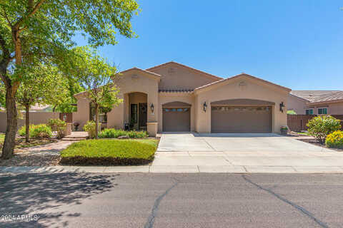 Reins, GILBERT, AZ 85297