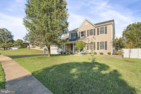 Jenny Lynn, FREDERICKSBURG, VA 22405