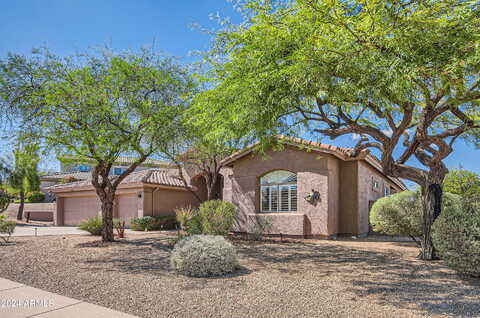 Andrew, FOUNTAIN HILLS, AZ 85268