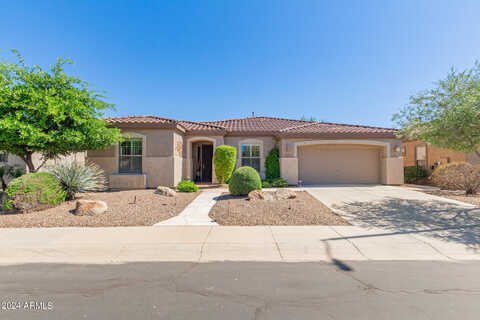 Sourwood, GILBERT, AZ 85298