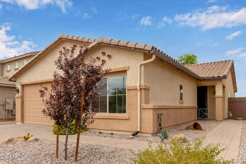 Willow, SAN TAN VALLEY, AZ 85140