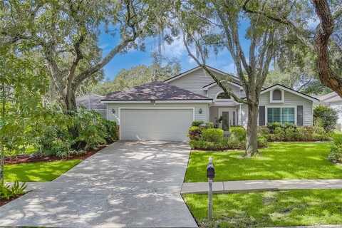 Deer, PALM HARBOR, FL 34684