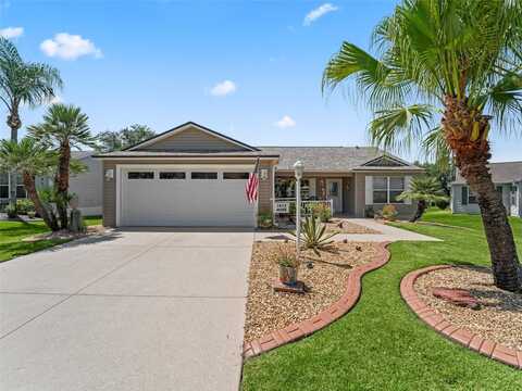 Blueberry, THE VILLAGES, FL 32162