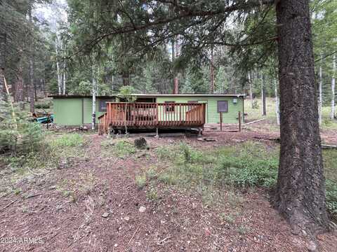 County Road 1006 --, Greer, AZ 85927