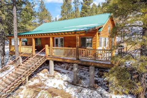 County Road 2102 --, Alpine, AZ 85920