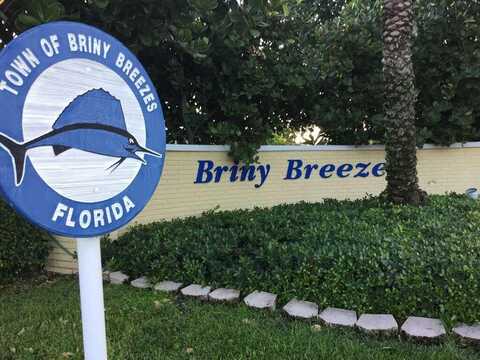 Hibiscus Drive, Briny Breezes, FL 33435