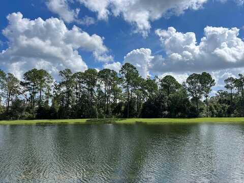 Winding Preserve Curve, Clermont, FL 34714