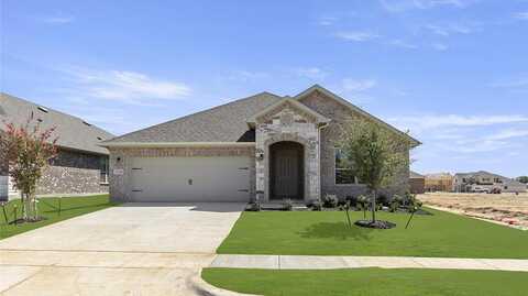 Sesaro Drive, Aubrey, TX 76227