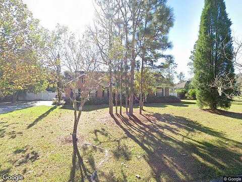 Silver Pine, RIVERVIEW, FL 33569