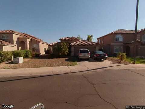 Camellia, GILBERT, AZ 85296