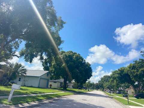 Sarazen, NEW PORT RICHEY, FL 34655