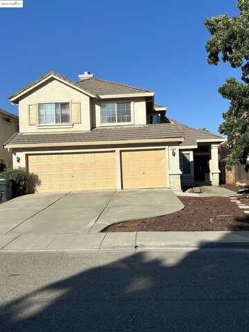 Pronghorn, ANTIOCH, CA 94509