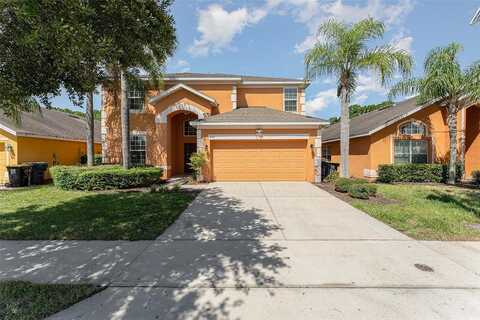 Orange Cosmos, DAVENPORT, FL 33837