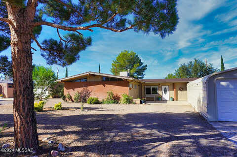 Flynn Jans, PEARCE, AZ 85625