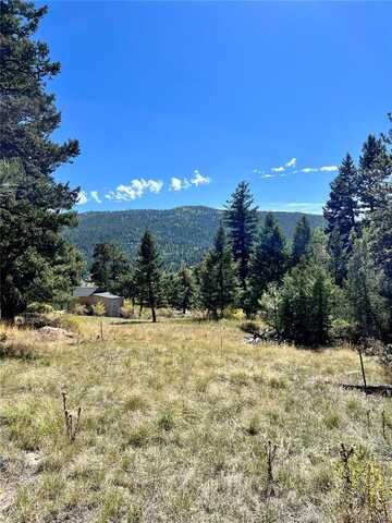 Stansbery, CONIFER, CO 80433