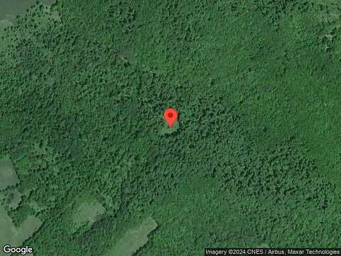 Dick Morton Rd, LAURENS, NY 13796