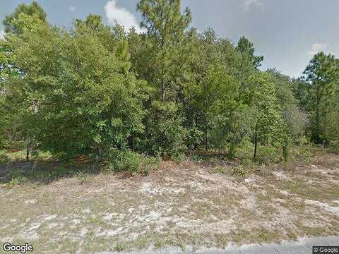 Gloster, DUNNELLON, FL 34433