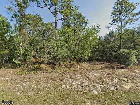 Gainesville, CITRUS SPRINGS, FL 34433