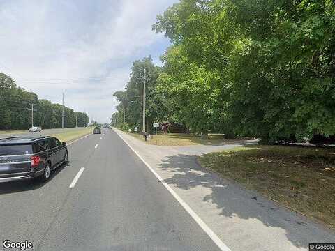 Honey Locust, MILFORD, DE 19963