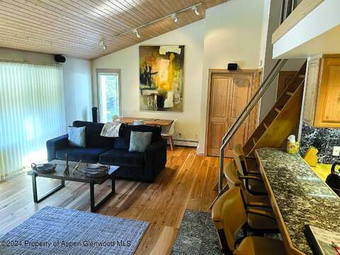 935 E Hopkins #12, Aspen, CO 81611