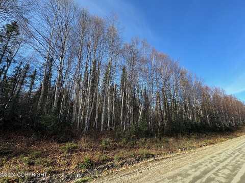 32276 S McKinley View Dr., Talkeetna, AK 99676