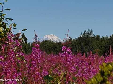 64056 Tailwind Road, Ninilchik, AK 99639