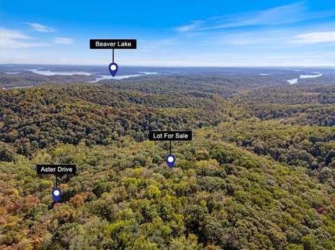 LOT 261 Aster DR, Rogers, AR 72756