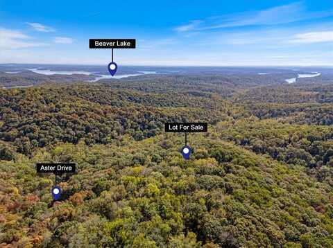 LOT 262 Aster DR, Rogers, AR 72756