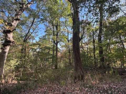 7 Sycamore LN, Holiday Island, AR 72631