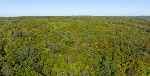 42 acres NE West Blue Lake Road, Kalkaska, MI 49646