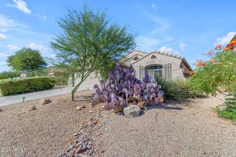 10300 E TRAILHEAD Court, Gold Canyon, AZ 85118