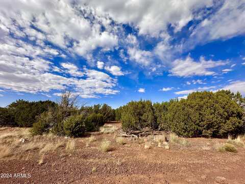 39 ALABAMA Avenue, Concho, AZ 85924