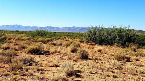 Lot 52 N High Lonesome Road, Elfrida, AZ 85610