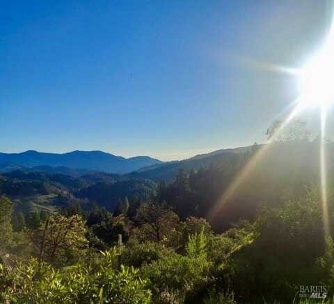 2270 Spyrock Road, Leggett, CA 95585