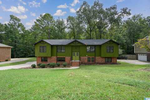 1295 ATKINS TRIMM BOULEVARD, HOOVER, AL 35226