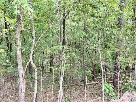 1649 BROKEN ARROW CREEK ROAD, RIVERSIDE, AL 35135