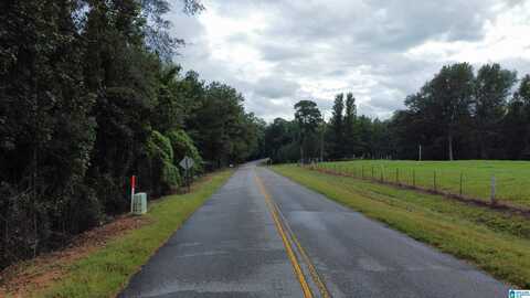 0 CAMPGROUND ROAD, NORTHPORT, AL 35475